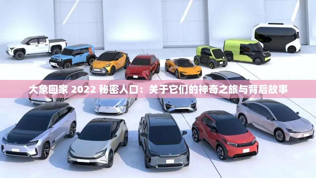 大象回家 2022 秘密人口：关于它们的神奇之旅与背后故事
