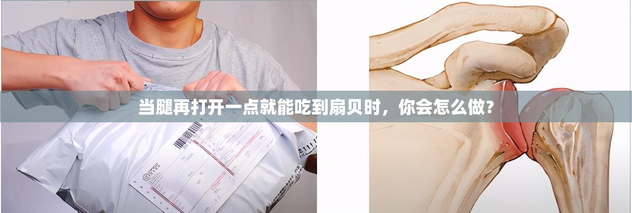 当腿再打开一点就能吃到扇贝时，你会怎么做？