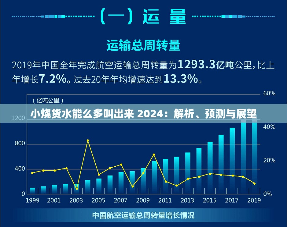 小烧货水能么多叫出来 2024：解析、预测与展望