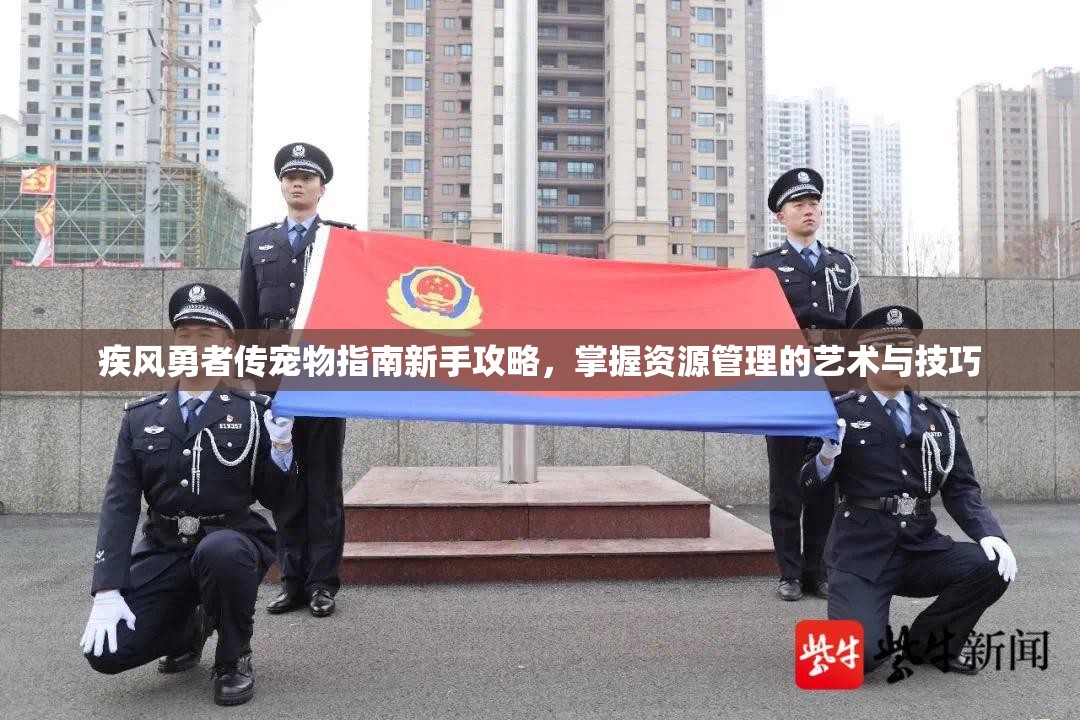 疾风勇者传宠物指南新手攻略，掌握资源管理的艺术与技巧