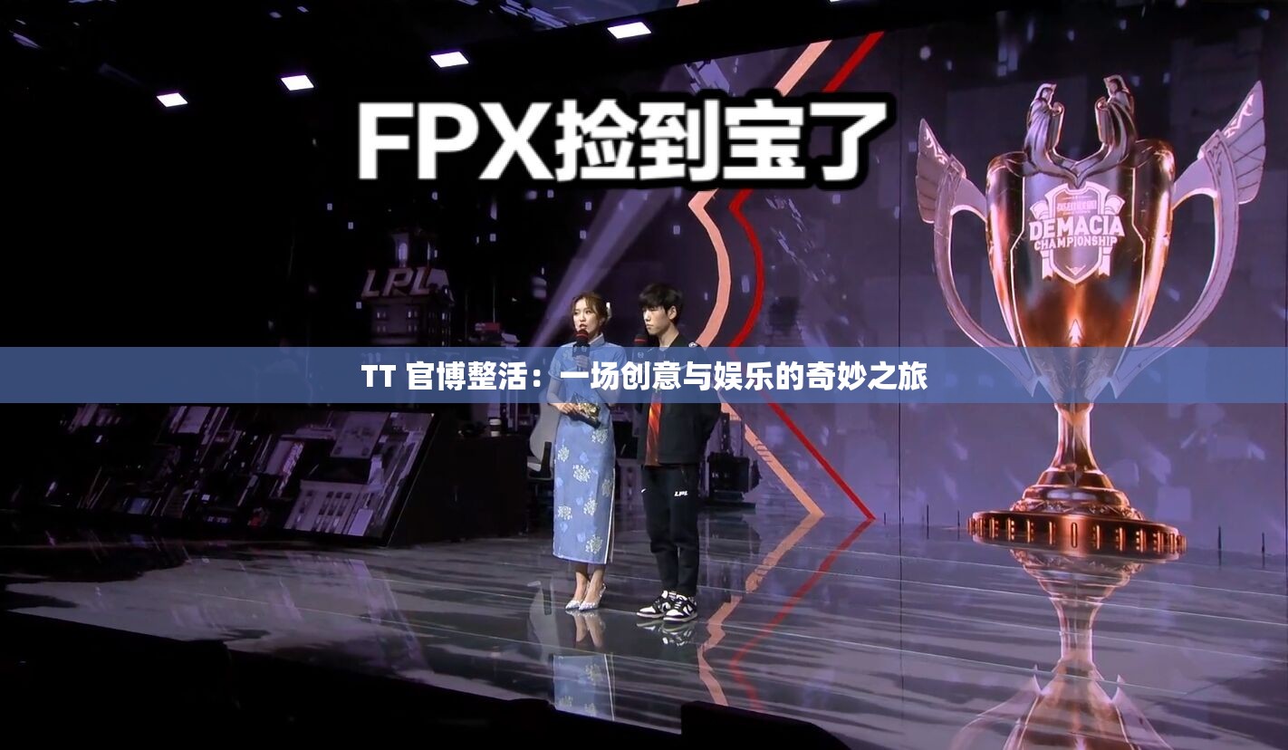 TT 官博整活：一场创意与娱乐的奇妙之旅
