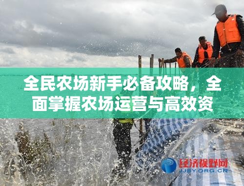 全民农场新手必备攻略，全面掌握农场运营与高效资源管理技巧