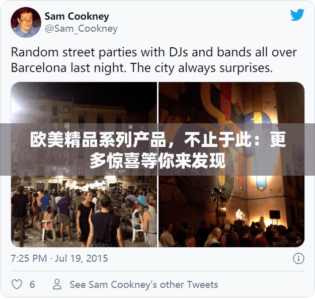 欧美精品系列产品，不止于此：更多惊喜等你来发现