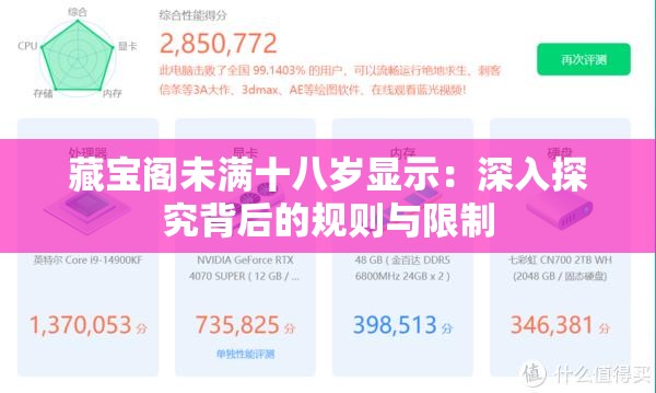 藏宝阁未满十八岁显示：深入探究背后的规则与限制