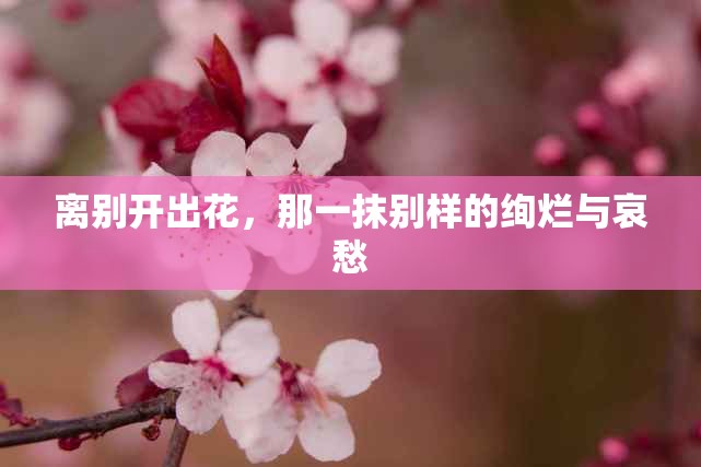 离别开出花，那一抹别样的绚烂与哀愁