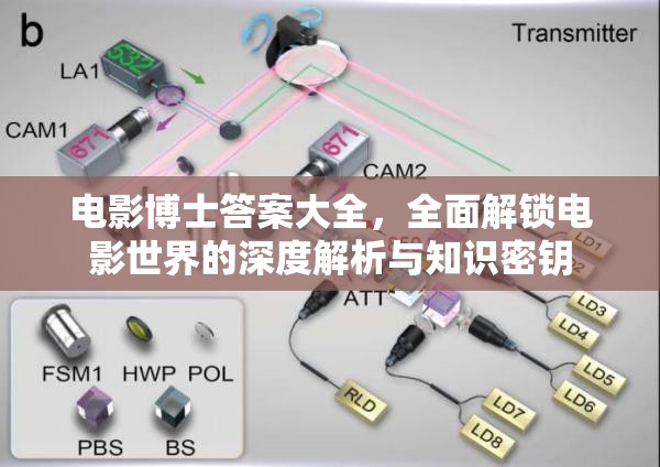 电影博士答案大全，全面解锁电影世界的深度解析与知识密钥