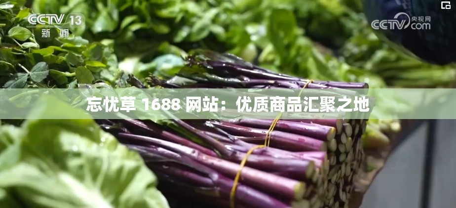 忘忧草 1688 网站：优质商品汇聚之地