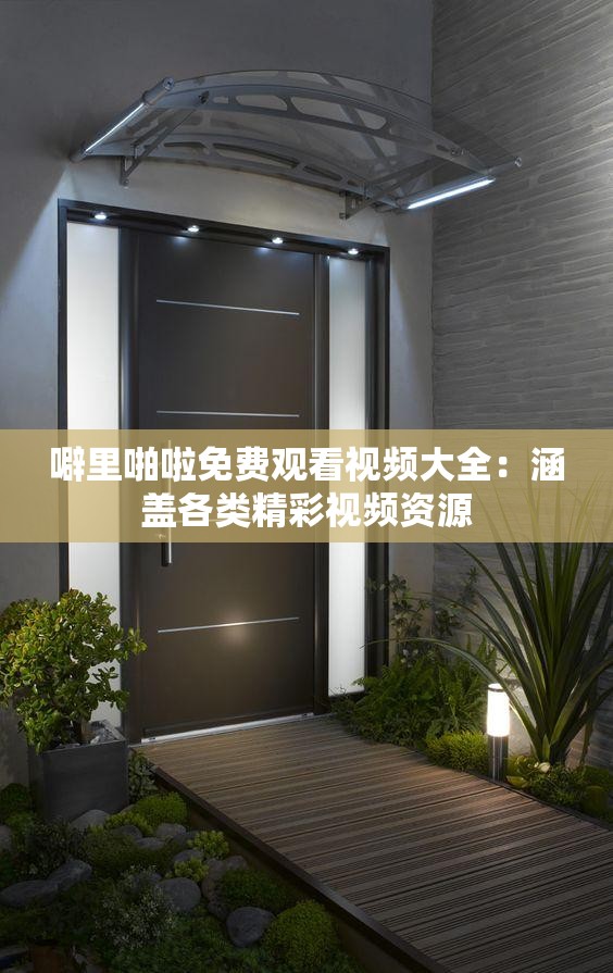 噼里啪啦免费观看视频大全：涵盖各类精彩视频资源