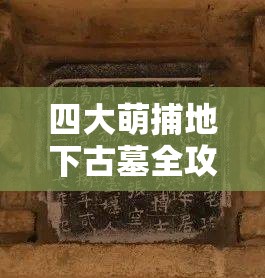 四大萌捕地下古墓全攻略，掌握资源管理艺术，轻松通关秘籍