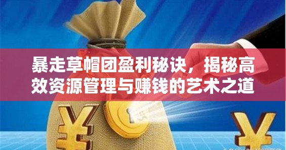 暴走草帽团盈利秘诀，揭秘高效资源管理与赚钱的艺术之道
