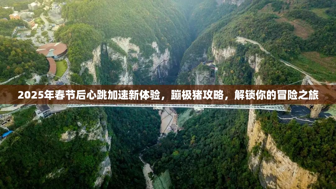 2025年春节后心跳加速新体验，蹦极猪攻略，解锁你的冒险之旅