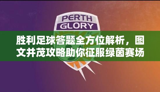 胜利足球答题全方位解析，图文并茂攻略助你征服绿茵赛场
