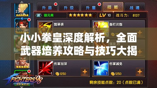 小小拳皇深度解析，全面武器培养攻略与技巧大揭秘