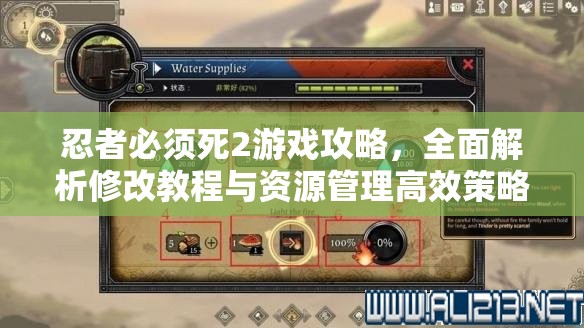 忍者必须死2游戏攻略，全面解析修改教程与资源管理高效策略，实现价值最大化