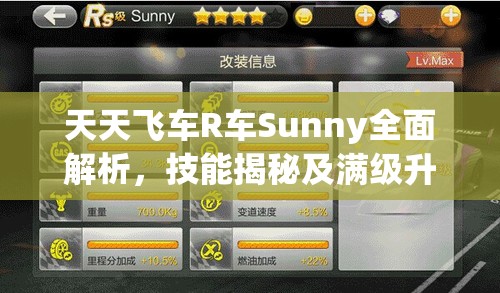 天天飞车R车Sunny全面解析，技能揭秘及满级升级费用详细大起底