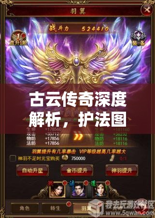 古云传奇深度解析，护法图鉴探秘之旅，揭秘金翅鸟的光辉羽翼之谜