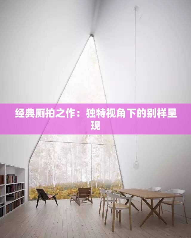 经典厕拍之作：独特视角下的别样呈现