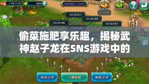 偷菜施肥享乐趣，揭秘武神赵子龙在SNS游戏中的独特属性