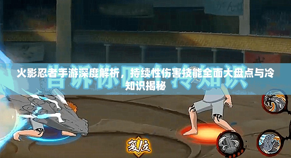 火影忍者手游深度解析，持续性伤害技能全面大盘点与冷知识揭秘