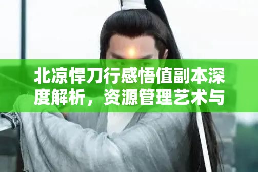 北凉悍刀行感悟值副本深度解析，资源管理艺术与策略实战指南