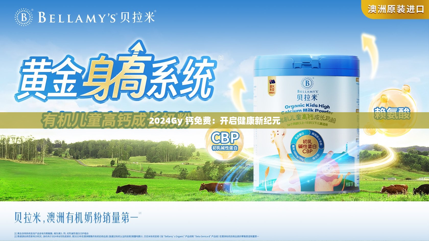 2024Gy 钙免费：开启健康新纪元