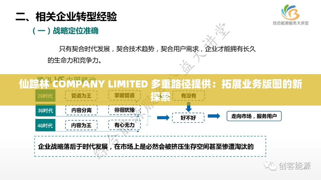 仙踪林 COMPANY LIMITED 多重路径提供：拓展业务版图的新探索