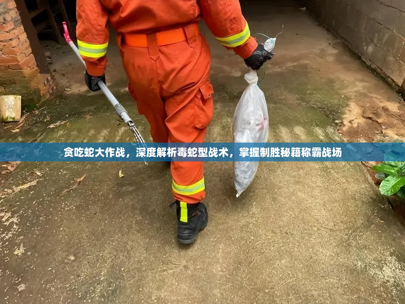 贪吃蛇大作战，深度解析毒蛇型战术，掌握制胜秘籍称霸战场