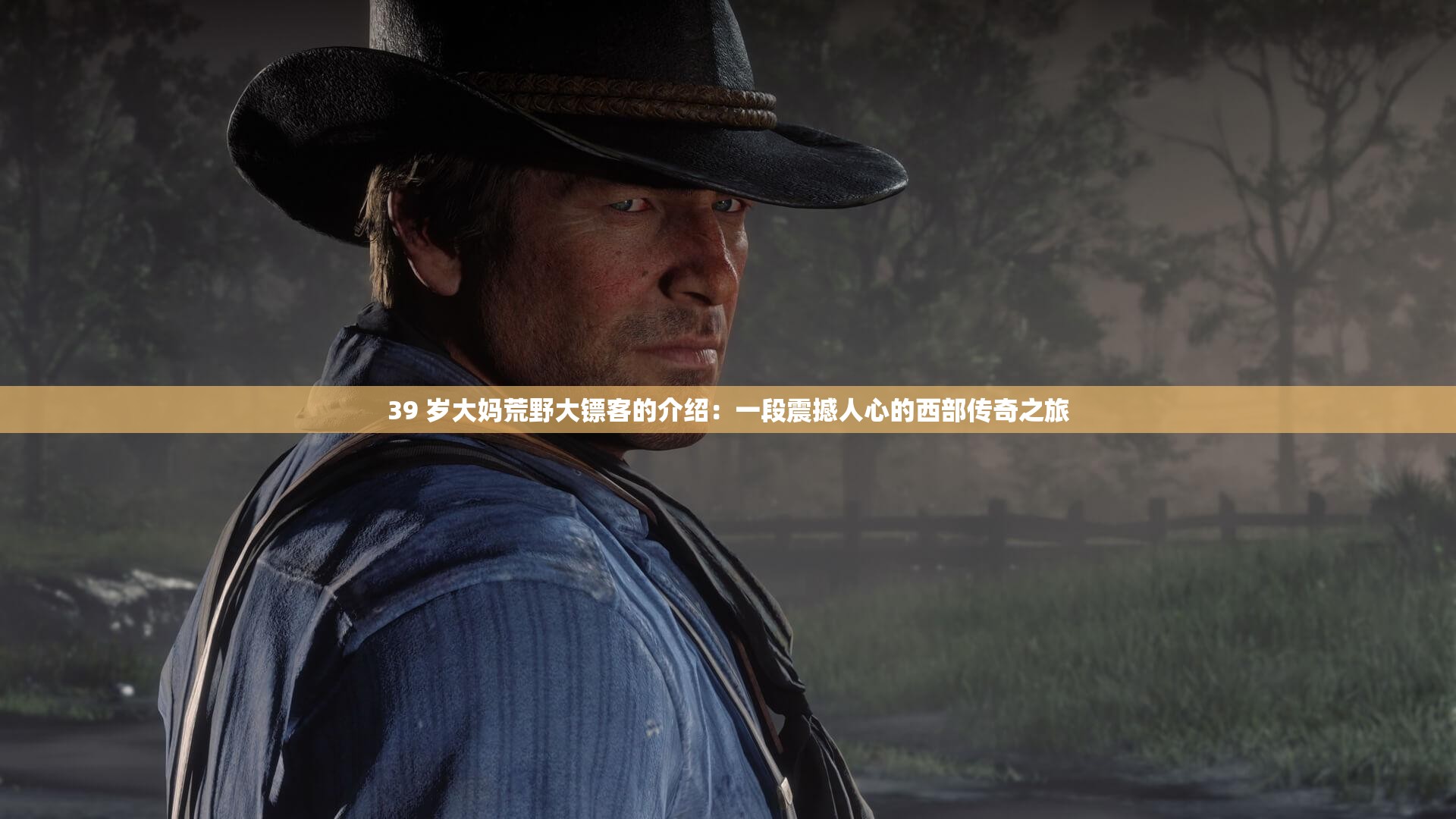 39 岁大妈荒野大镖客的介绍：一段震撼人心的西部传奇之旅