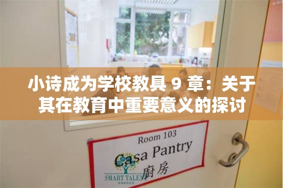 小诗成为学校教具 9 章：关于其在教育中重要意义的探讨
