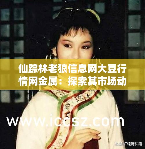 仙踪林老狼信息网大豆行情网金属：探索其市场动态与未来走向