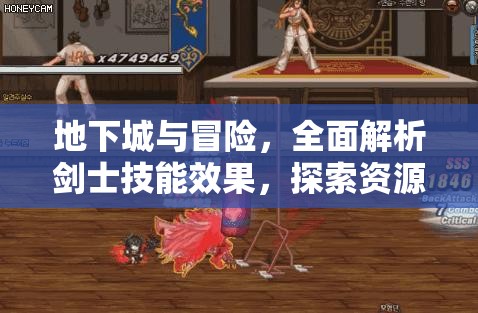 地下城与冒险，全面解析剑士技能效果，探索资源管理的高效艺术