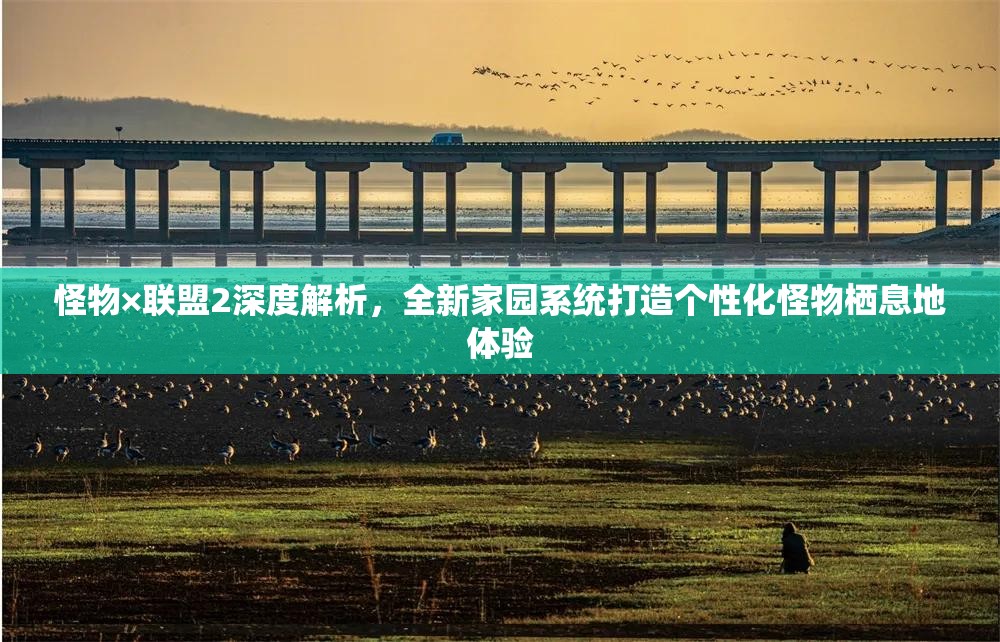 怪物×联盟2深度解析，全新家园系统打造个性化怪物栖息地体验