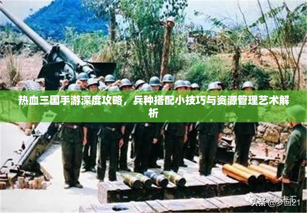 热血三国手游深度攻略，兵种搭配小技巧与资源管理艺术解析