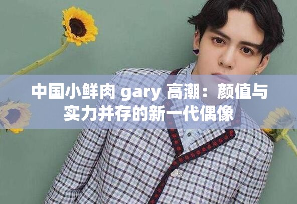 中国小鲜肉 gary 高潮：颜值与实力并存的新一代偶像