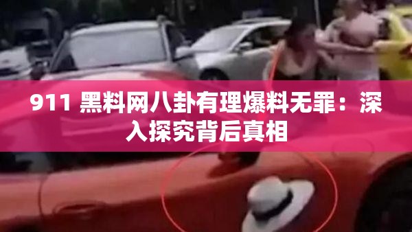 911 黑料网八卦有理爆料无罪：深入探究背后真相