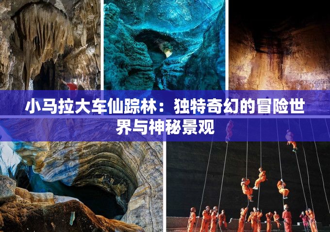 小马拉大车仙踪林：独特奇幻的冒险世界与神秘景观