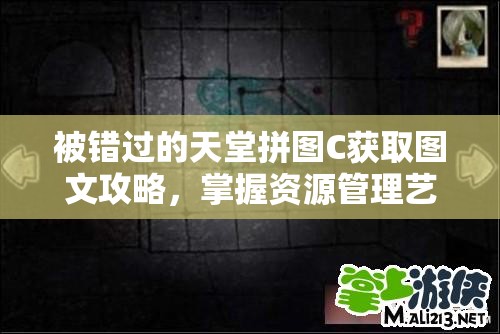 被错过的天堂拼图C获取图文攻略，掌握资源管理艺术，解锁游戏难关