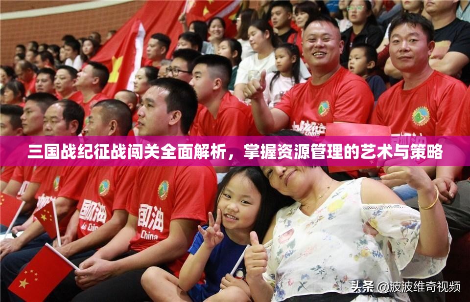三国战纪征战闯关全面解析，掌握资源管理的艺术与策略