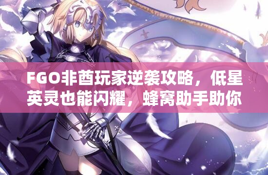 FGO非酋玩家逆袭攻略，低星英灵也能闪耀，蜂窝助手助你高效养成