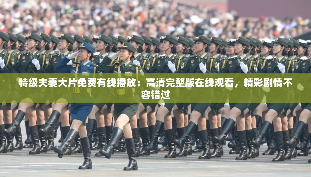 特级夫妻大片免费有线播放：高清完整版在线观看，精彩剧情不容错过