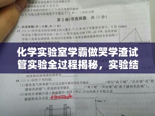 化学实验室学霸做哭学渣试管实验全过程揭秘，实验结果令人震惊