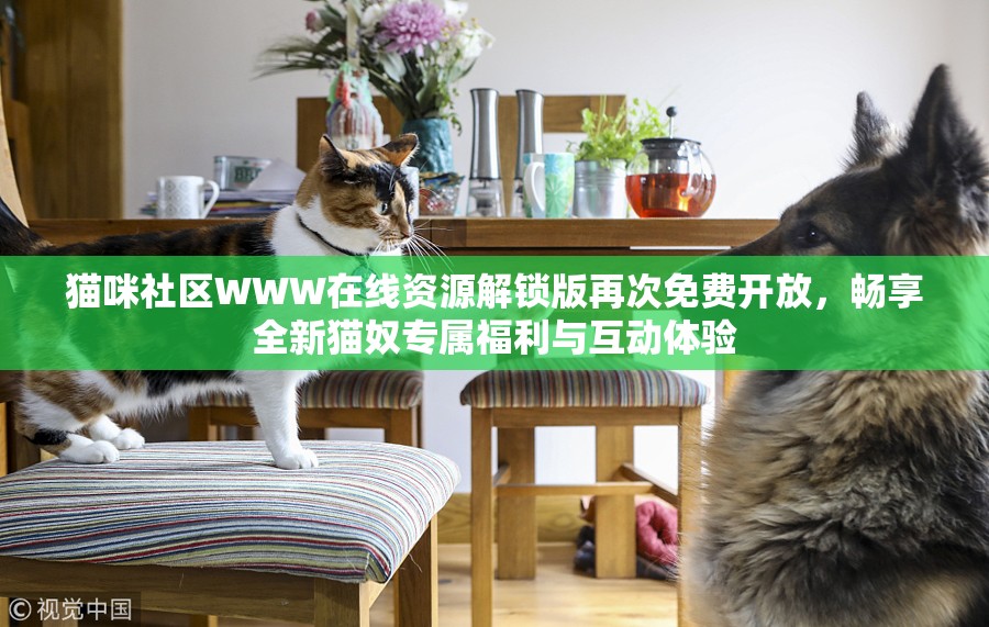 猫咪社区WWW在线资源解锁版再次免费开放，畅享全新猫奴专属福利与互动体验