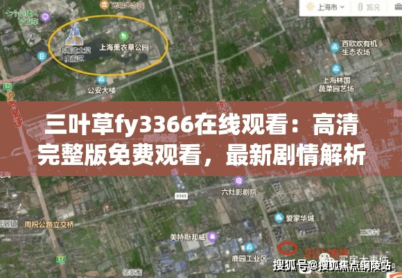 三叶草fy3366在线观看：高清完整版免费观看，最新剧情解析与精彩片段分享