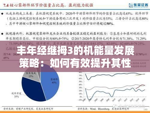 丰年经继拇3的机能量发展策略：如何有效提升其性能与效率？