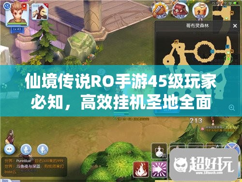 仙境传说RO手游45级玩家必知，高效挂机圣地全面大揭秘