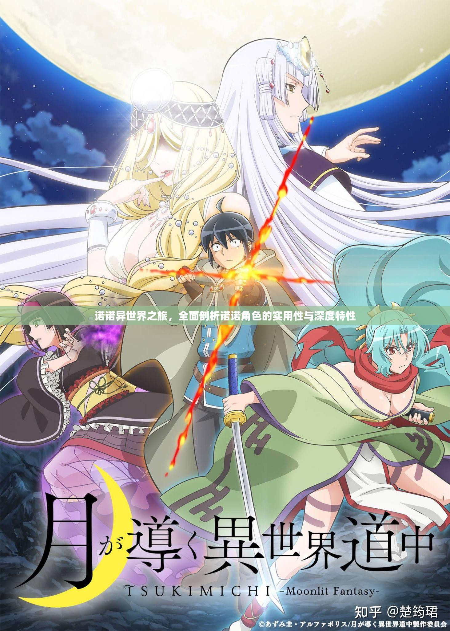 诺诺异世界之旅，全面剖析诺诺角色的实用性与深度特性