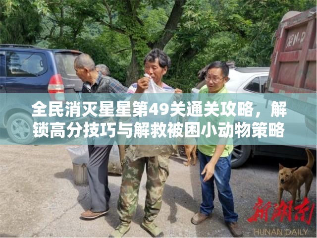全民消灭星星第49关通关攻略，解锁高分技巧与解救被困小动物策略
