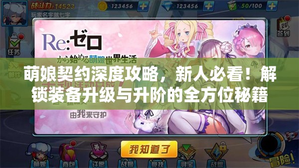 萌娘契约深度攻略，新人必看！解锁装备升级与升阶的全方位秘籍