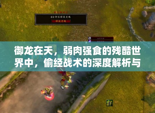 御龙在天，弱肉强食的残酷世界中，偷经战术的深度解析与揭秘