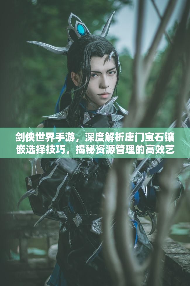剑侠世界手游，深度解析唐门宝石镶嵌选择技巧，揭秘资源管理的高效艺术